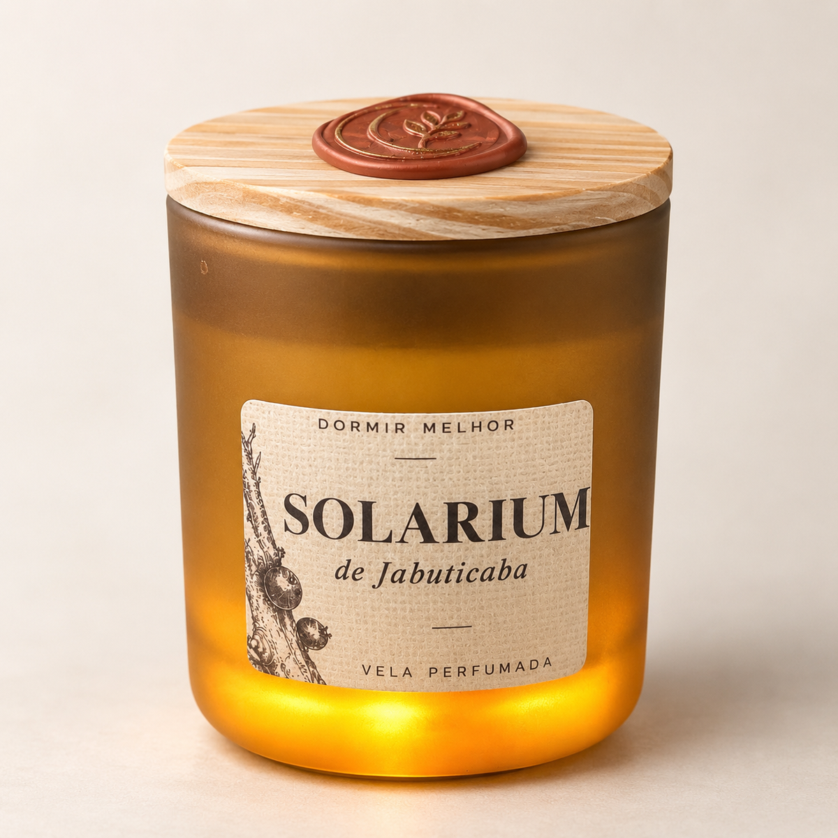 Solarium de Jabuticaba - Vela perfumada com luz ambiente 260ml
